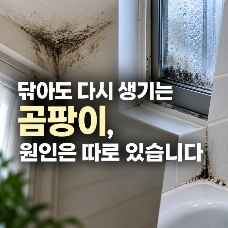 천장 누수와 창문 결로로 생긴 곰팡이 원인